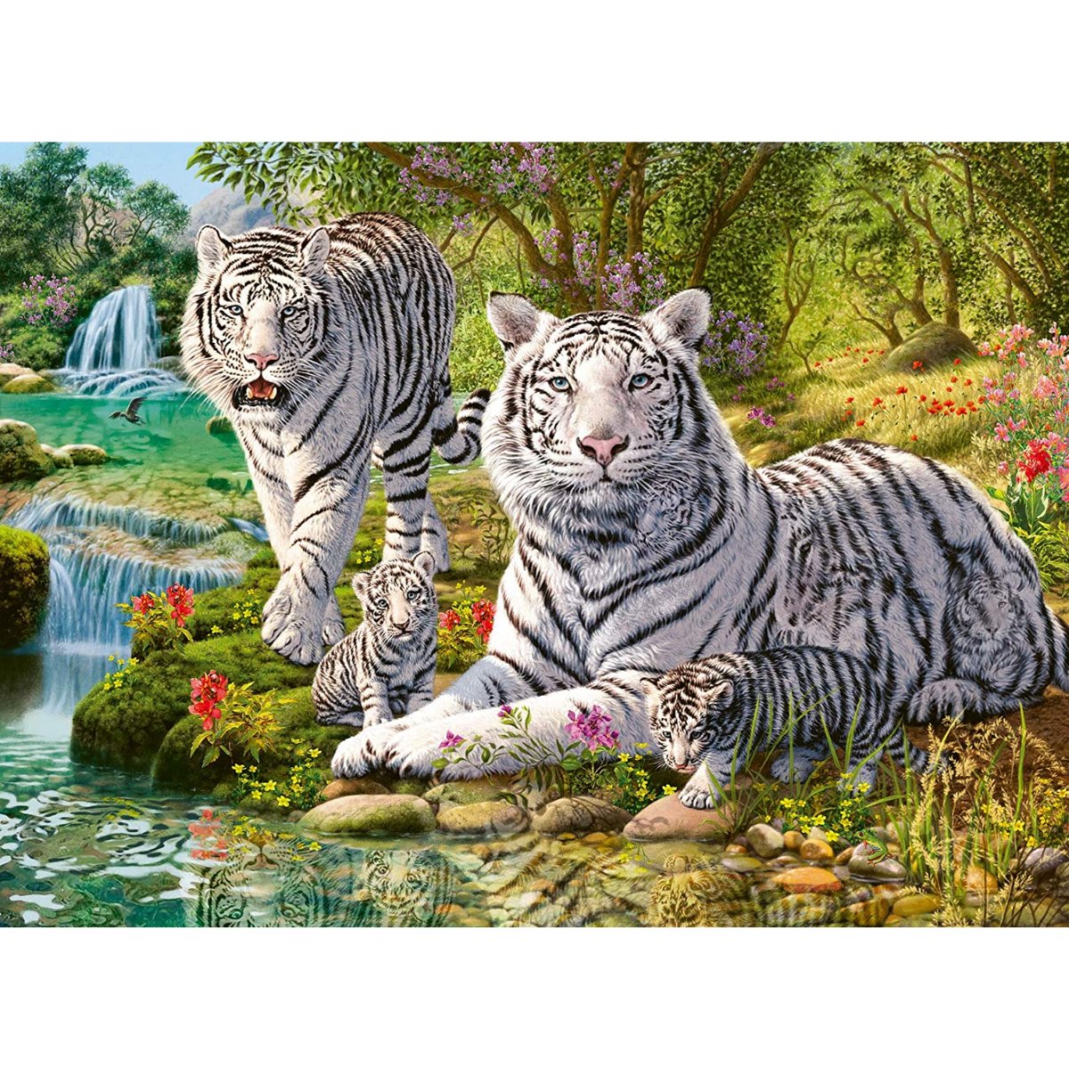 Ravensburger White Tigers Jigsaw Puzzle (500 Pieces) - Phillips Hobbies