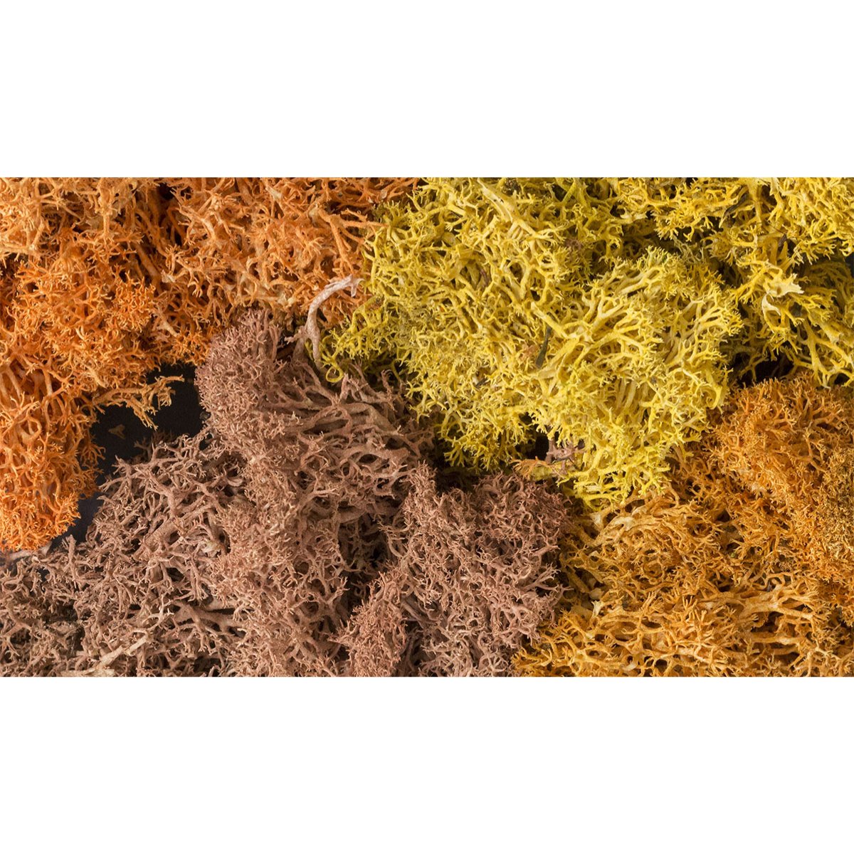 Woodland Scenics Autumn Mix Lichen - Phillips Hobbies