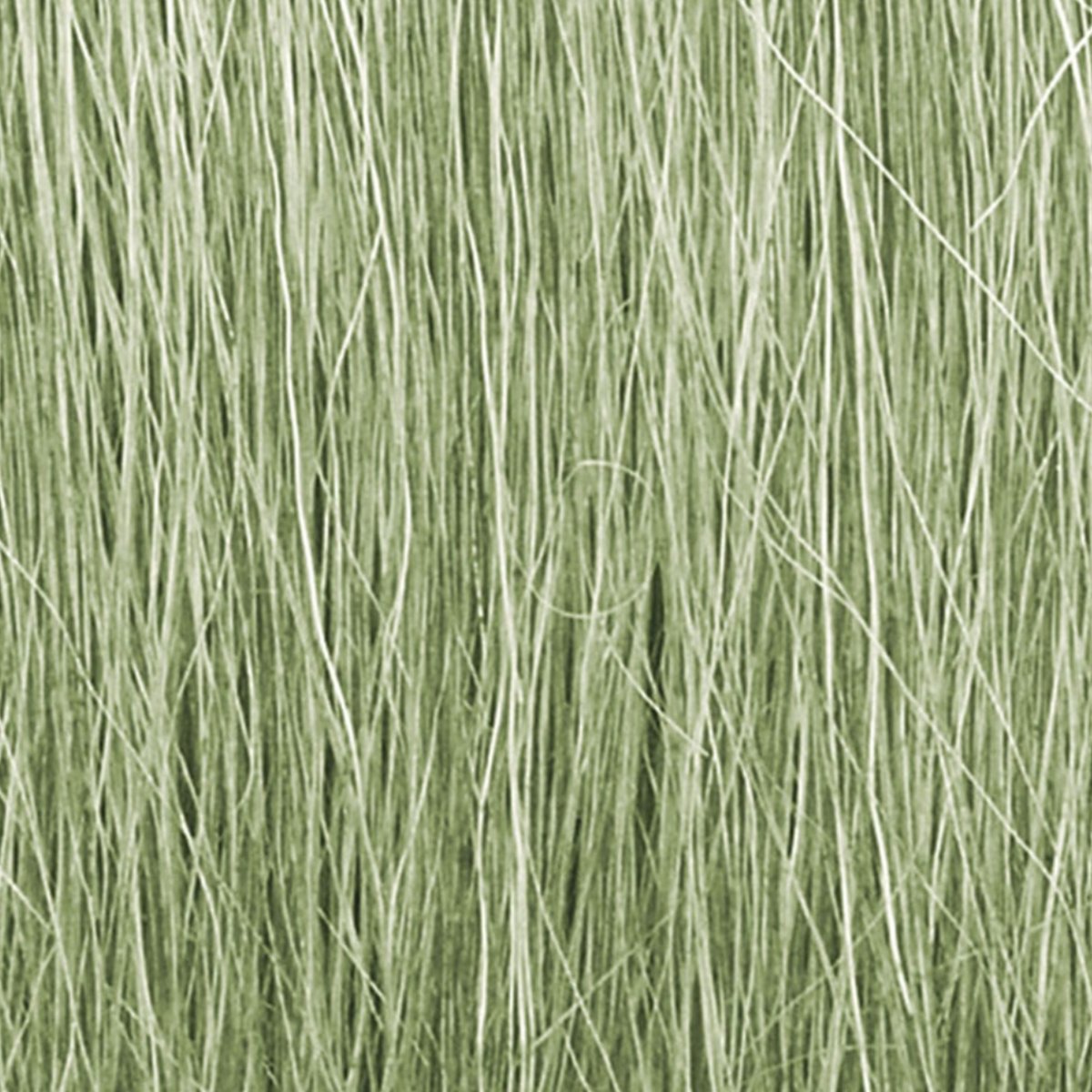 Woodland Scenics Light Green Field Grass - Phillips Hobbies