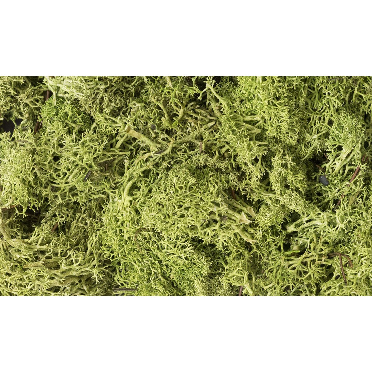 Woodland Scenics Light Green Lichen - Phillips Hobbies