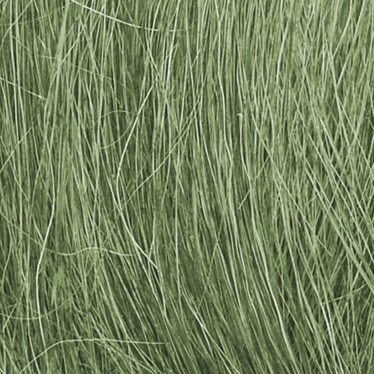 Woodland Scenics Medium Green Field Grass - Phillips Hobbies