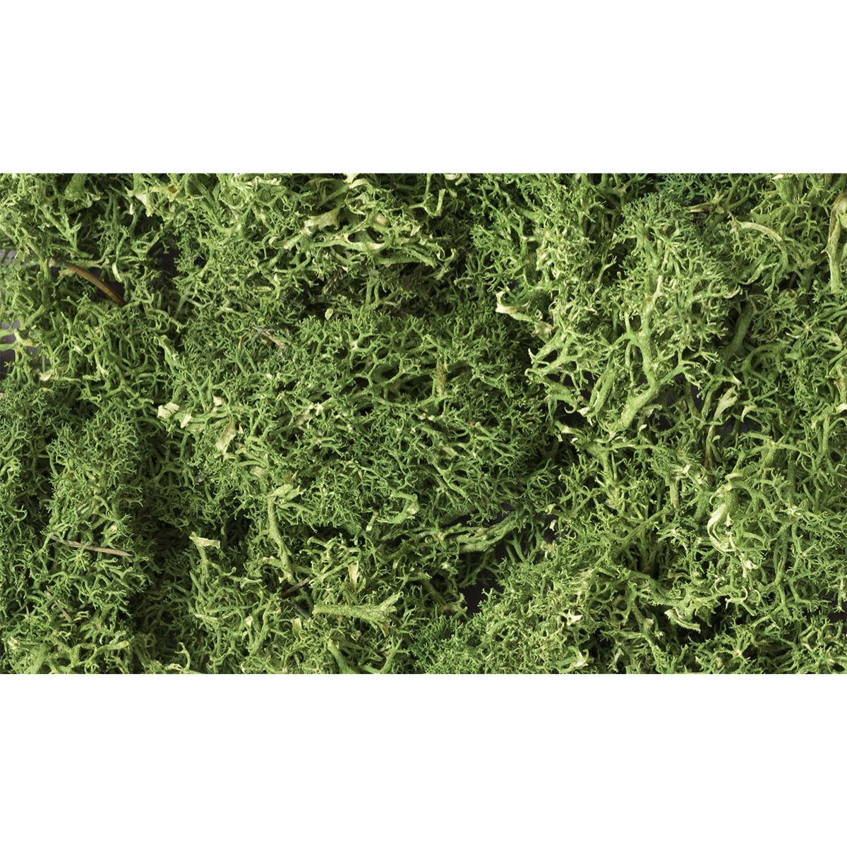 Woodland Scenics Medium Green Lichen - Phillips Hobbies